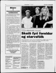 Síða 6