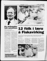 Síða 8
