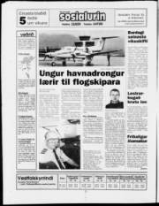 Síða 20