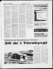 Síða 7