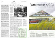 Síða 8