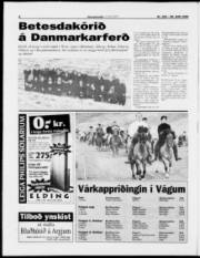 Síða 8