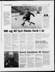 Síða 17