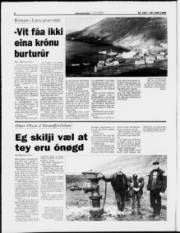 Síða 6
