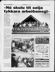 Síða 7