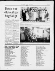 Síða 13