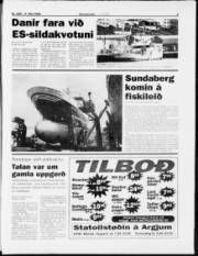 Síða 3