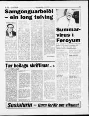 Síða 13