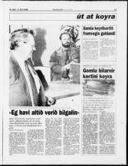 Síða 15