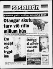 Síða 1
