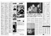 Síða 15
