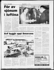 Síða 3