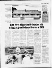 Síða 8
