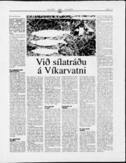 Síða 15