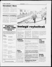 Síða 7