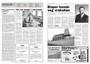 Síða 2
