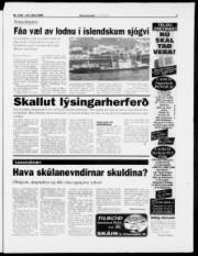 Síða 3