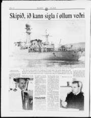 Síða 12
