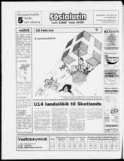 Síða 28