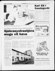 Síða 7