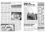 Síða 3