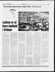 Síða 11