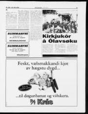 Síða 13