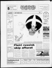 Síða 24
