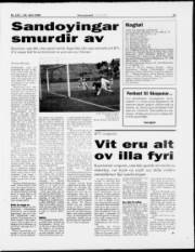 Síða 17