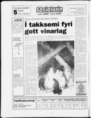 Síða 28