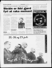 Síða 3