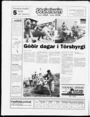 Síða 20