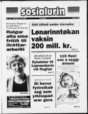 Síða 1
