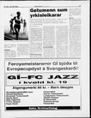 Síða 13
