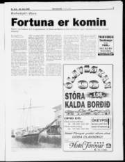 Síða 7