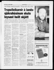 Síða 3