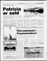 Síða 6