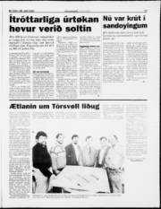 Síða 17
