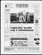 Síða 24