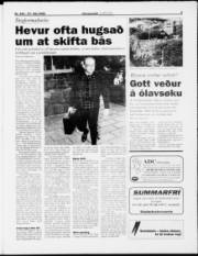 Síða 5
