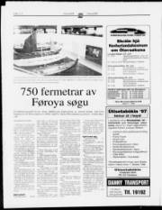Síða 12