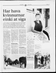 Síða 17