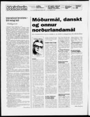 Síða 2