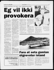 Síða 3