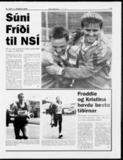 Síða 13