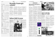 Síða 15