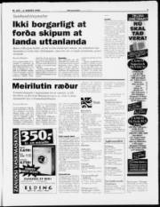 Síða 3