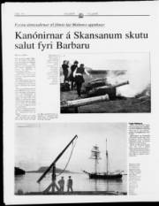 Síða 14