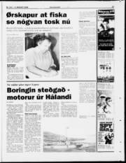 Síða 27