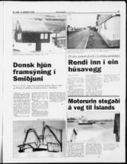 Síða 11